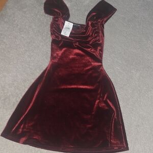 Windsor Velvet Dress in Wine Red Brand New With Tags